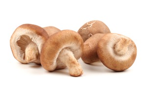 Shiitake